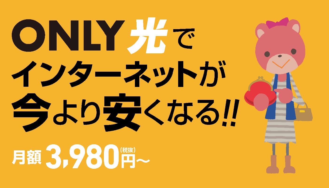 インターネットを 今より安く